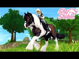 Even More Tinker Horses! - Star Stable 🐴