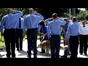 Officers Honor Last 9/11 Search Dog With Moving Tribute Before Being Put Down