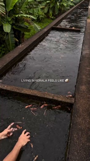 I've been to Kerela twice in my life.The place is beautiful (although much of it is too hot) but more importantly, you will find 2 things:1) Almost everyone complains about there not being any jobs around because there is no industry2) There are lottery shops *everywhere*. You can be educated and civilized etc. but you cannot have economic prosperity without capitalism and free markets