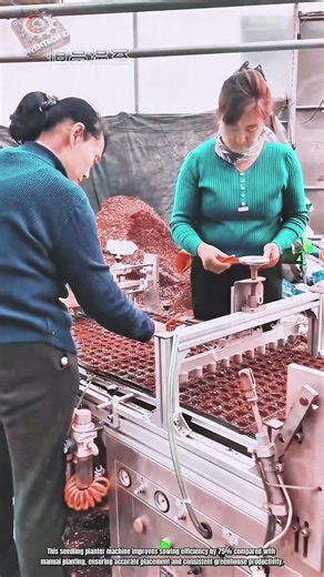 Best Innovation Seedling Planter Machine: How to Sow Seeds Precisely