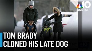Tom Brady reveals his dog is clone of his late pet