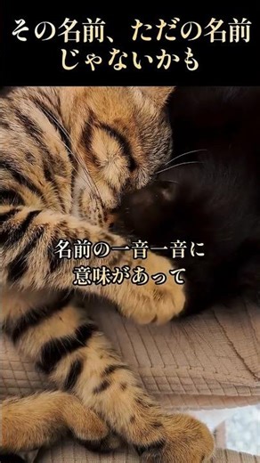 その名前、ただの名前じゃないかもしれない#本音#自己理解#気づき#生き方#名前の意味#本質#自分を知る#なんか気になる#違和感