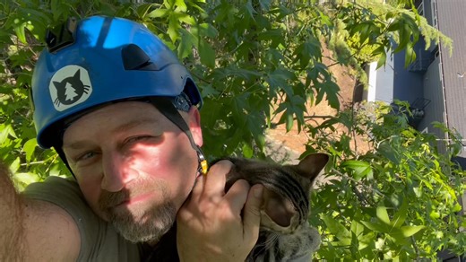 Meet Alexander, a determined little tabby who scaled a tall sweet gum tree in Normandy Park this summer. Rescues like this don’t happen without a lot happening quietly in the background… logistics, coordination, admin support, and so many unseen pieces that make each save possible. Huge thanks to everyone who contributes in ways big and small to keep CCR going and help us get cats safely back to their families. ❤️🐾 | Canopy Cat Rescue