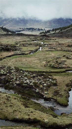 Cascada Mifés (Cascada 1er y 2do Llano) en el valle glaciar de Mucubaji, Sierra de Santo Domingo, Mérida, Venezuela. Hermosa ruta desde la Laguna de Mucubají (Se puede observar al fondo del primer segmento del video) vía al Pico Mifés 4631 MSNM . Video @elalvarofuentes . . . . #merida #venezuela #picomifes #mucubaji #cascadamifes | Mérida Turística