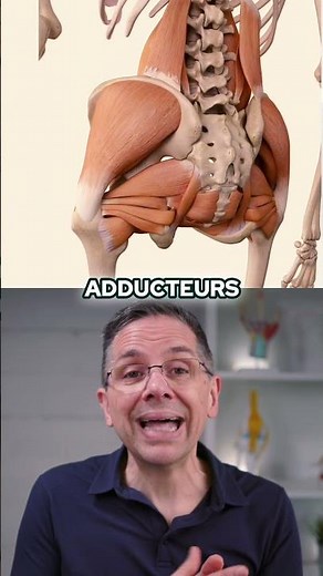 Comprendre les muscles de la hanche : Le secret d'une mobilité parfaite !