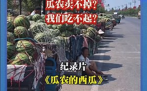 “瓜农3毛一斤的西瓜我们为什么吃不起？”大型纪录片《瓜农的西瓜》为你播出
