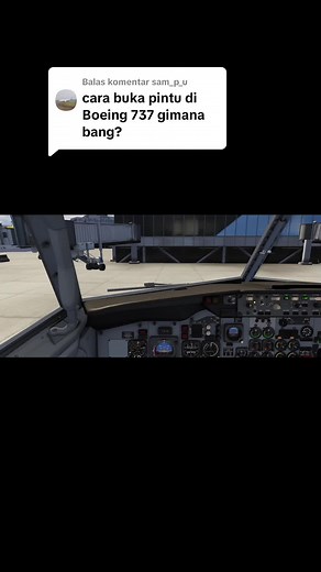 How to Open B737-500 Door in Aerofly FS Global