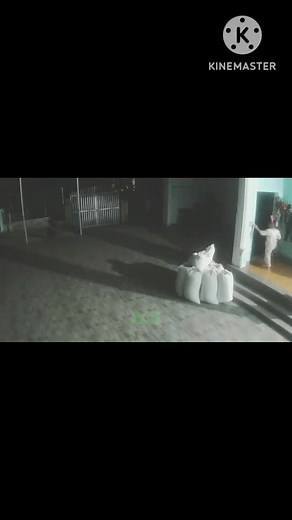 3M views · 46K reactions | Camara de seguridad capta duende o gnomo en Vietnam 2023 #duendes #gnomo #criaturasextrañas #miedo #misterios #ATERRADOR | La cuna de lo desconocido | Facebook