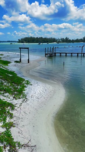 Things To Do Tampa Bay on TikTok