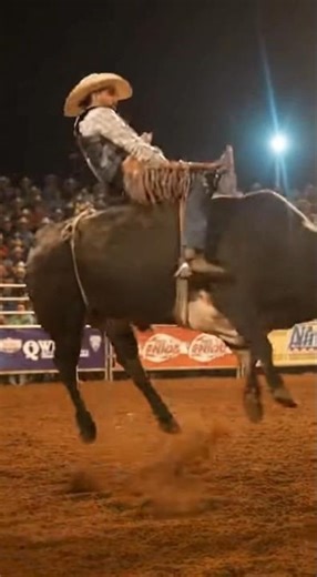 8 Second PBR Bull Riding Challenge | Extreme Rodeo Action 4K