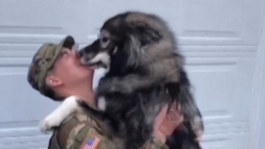 Soldier greeted by giant dog's hugs and kisses