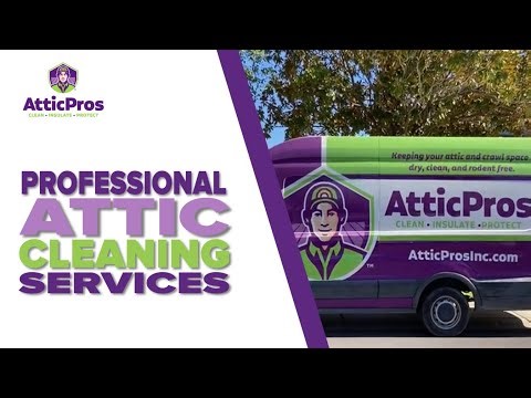 The Disgusting Truth About Old Attic Insulation