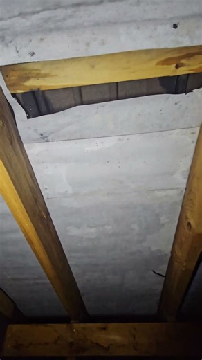 roof felt damage #diy #roofing