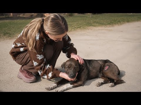 We Didn’t Know This Rescue Would Break Our Hearts