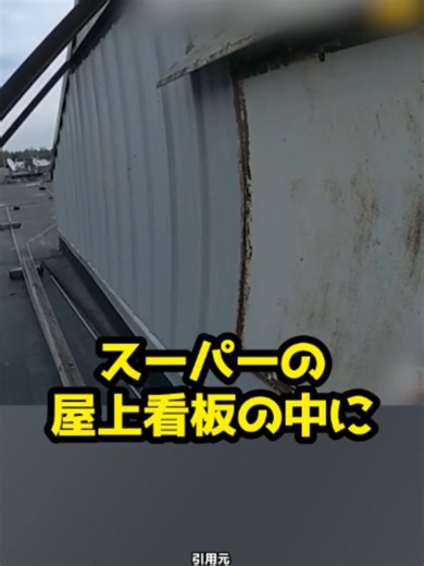 【衝撃】スーパーの屋上看板に約1年間も潜伏！？「私も住みたい」と話題になった驚きの暮らしとは #ホームレス #アトム法律事務所 #弁護士 #法律 #tiktok教室