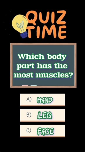 The Most Muscular Body Part Explored