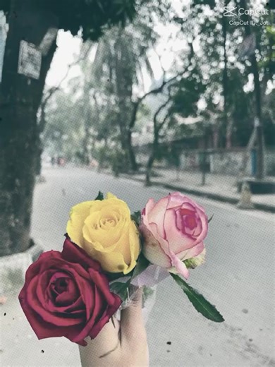 Nishita 🖤🤍 (@onoju2)’s videos with original sound - Nishita 🖤🤍