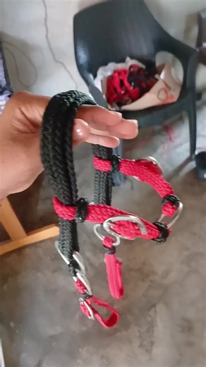 Os vídeos de Davi Lemos dos Santos (@davi.lemos.dos.sa8) com som original - Davi Lemos dos Santos