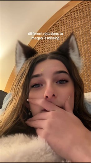 Different Reactions to 'Megan Is Missing'