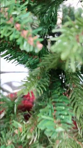 Bester Kunstweihnachtsbaum Vergleichs Testsieger 2022 Black Box Trees Macallan