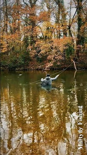 Le streamer pour le brochet à la mouche ! Technique puissante et précise pour ce prédateur