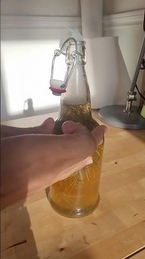 How to Make Fermented Pine Pop Soda 🌲✨ | Wild Foraged Fizzy Drink