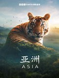 《亚洲 中文版》-全集高清在线观看-爱奇艺