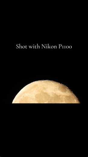 Exploring Nature with Nikon P1100 Photography