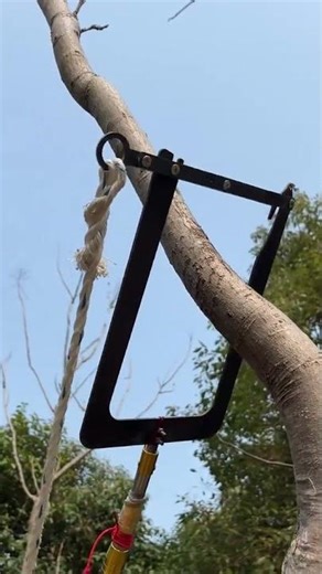 the process of attaching a rope to a tree using a tool