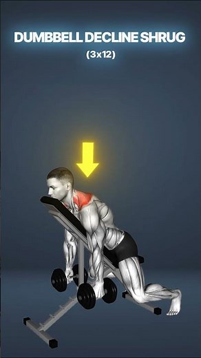 Build a Strong, Defined Back with Just Dumbbells!