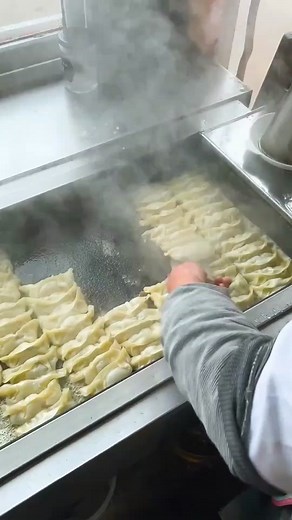 How to Make Perfect Fried Dumplings at Home