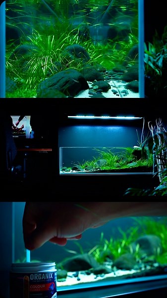 MJ | Aquascaping | UNS 90B comp 💚 most of these clips were recorded more than two weeks ago, and the tank looks way different now. Most of the rocks are green... | Instagram