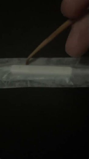 【ASMR】音でかめ！イヤホンマイクに耳かき 梵天添え notalking 声無し