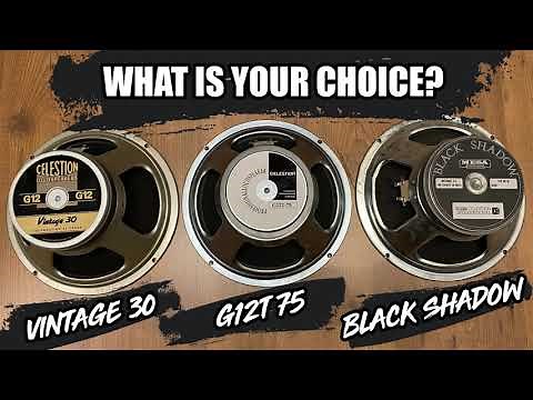 Vintage 30 vs G12T-75 vs Black Shadow - SPEAKERS COMPARISON