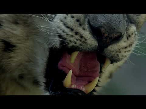 Der Natur auf der Spur - Ton an und den Zoo Leipzig erleben
