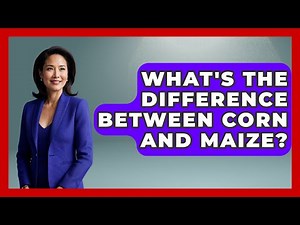 What's The Difference Between Corn And Maize? - The World of Agriculture