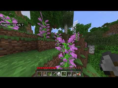 Minecraft Let's Play Survival Episode 1 ft vanax