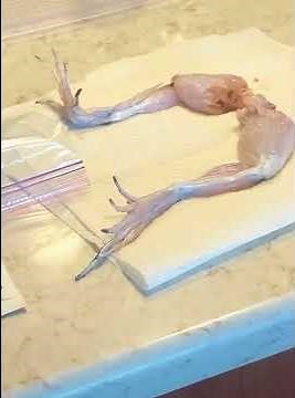 Adding salt to fresh meat MUSCLE SPASMS