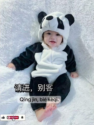 Baby panda translate English to Chinese 🐼🐼#language learning