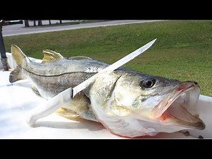 THE ONLY FISH THAT RESTAURANTS DON'T SELL YOU!! Catch Clean Cook Snook (BEST SNOOK RECIPE)