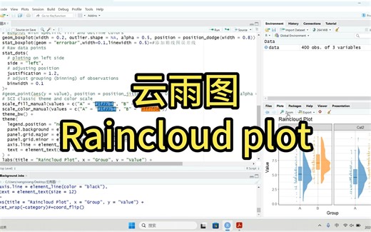 云雨图（Raincloud plot）的绘制