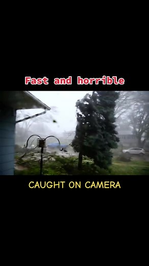 Typhoon Fury: Caught on Camera During Disaster