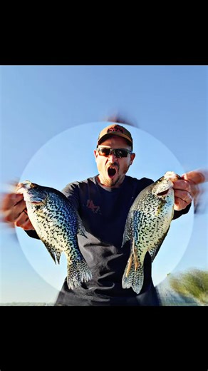 11 reactions | CRAPPIES!! #panfish #crappie #michigan | Overdrive Outdoors LLC | Facebook