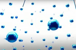 "A big welcome to our WIN viewers" | TV Tonight