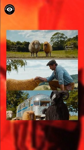 TheSheepDetectives, a mystery comedy
