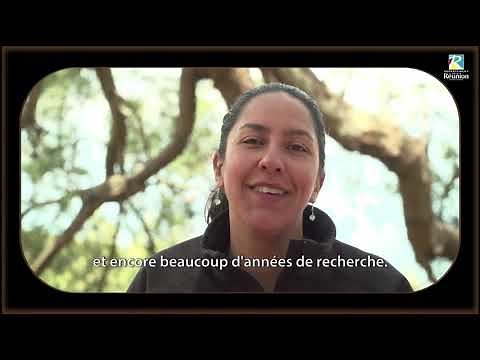 Résistances à l'esclavage - L’archéologie du marronnage à La Réunion