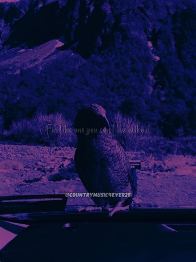 Buy Dirt: Jordan Davis Featuring Luke Bryan