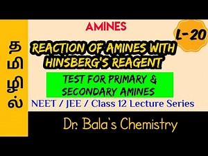 Amines with aryl Sulphonyl chloride in Tamil || NEET|| JEE|| Class 12 Lecture Series#Hinsbergreagent