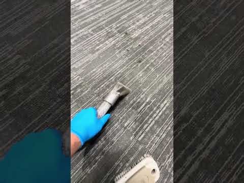 Tennant noble EX-spot 2 portable upholstery cleaner. Happy 😄 Holidays and happy 😄 Saturday.