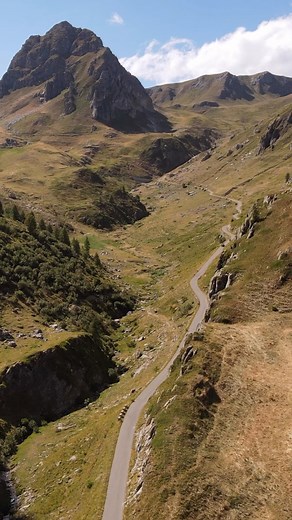 The Col Collective on Reels